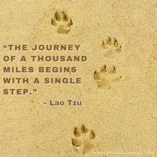 “The journey of a thousand miles begins with a single step.”
