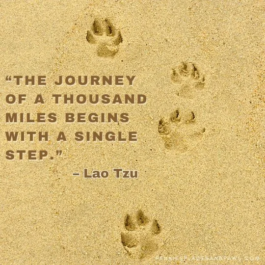 “The journey of a thousand miles begins with a single step.”