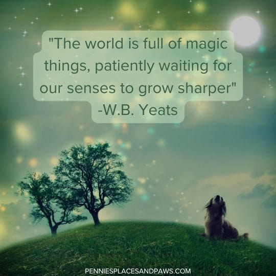 "The world is full of magic things, patiently waiting for our senses to grow sharper" -W.B. Yeats