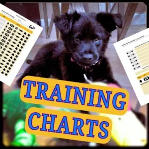 Training Charts