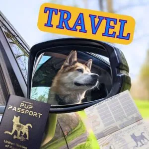 Travel Products and Memorabilia for Traveling Pet Owners