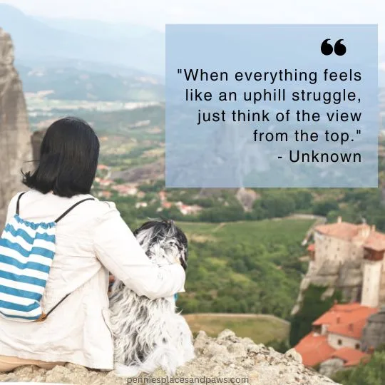"When everything feels like an uphill struggle, just think of the view from the top."