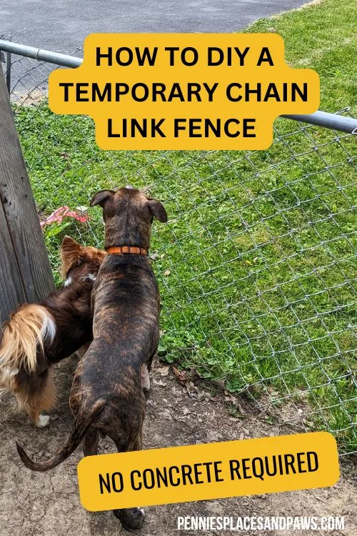 Pin For: How to DIY a Temporary Chain Link Fence