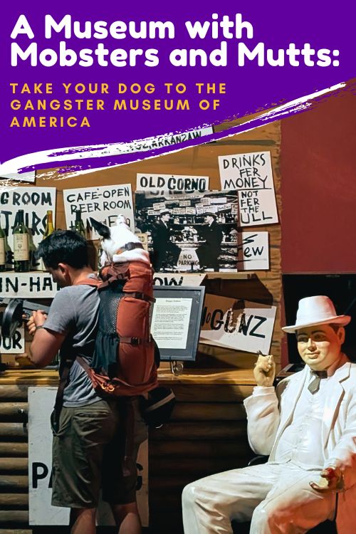 Take Your Dog to the Gangster Museum of America pin