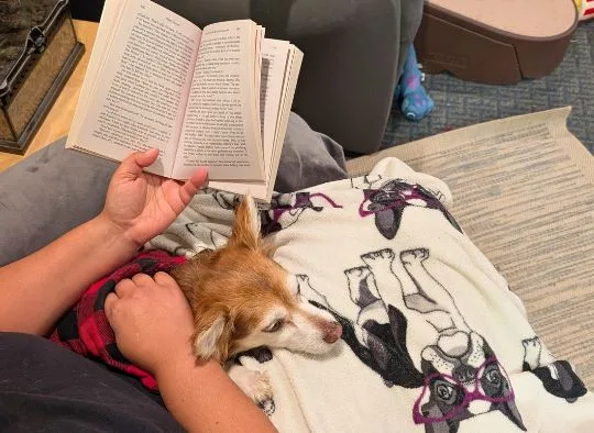 dog sitting on lap while person is reading a book
