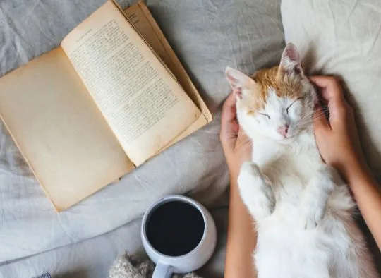 hands cradling a cat next to an open book and coffee cup