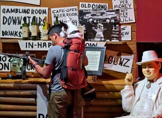 man with dog in backpack holding fake rifle next to Al Capone statue in Gangster Museum of America