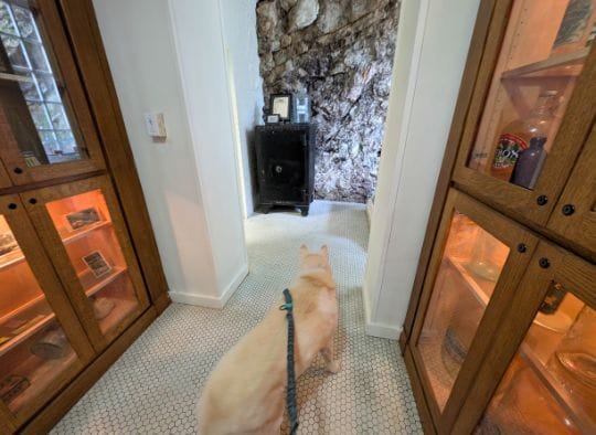 Dog entering back room in the Mountain Valley Spring Water Visitor Center