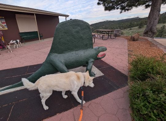 Dog next to Dinosaur in front of Dinosaur Park Visitor Center