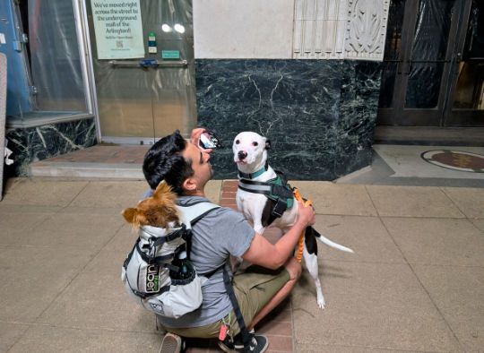 Dog requesting comfort by owner who was trying to take a photo on Hot Spring Haunted Tours