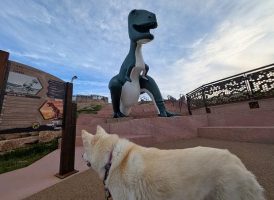 Husky next to a T-Rex and informational sign in Dinosaur Park Rapid City