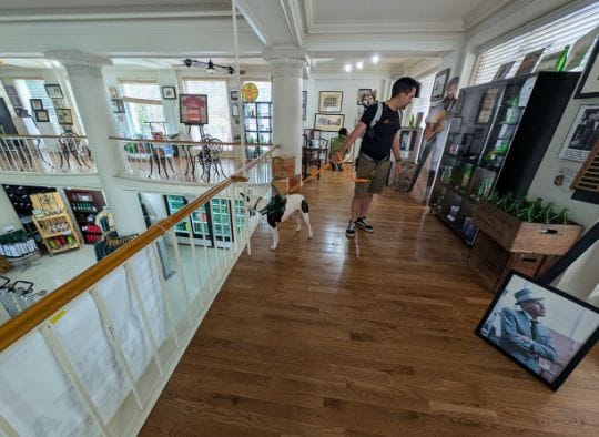 Man with two dogs looking at exhibits in the Mountain Valley Spring Water Museum