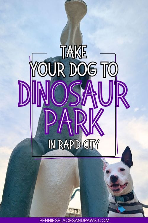 Take Your Dog To Dinosaur Park Rapid City pin