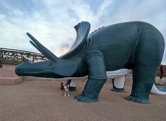 Small Dog under a triceratops at Dinosaur Park
