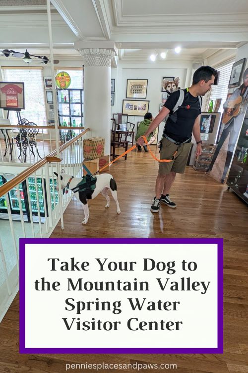 Take Your Dog to the Mountain Valley Spring Water Visitor Center