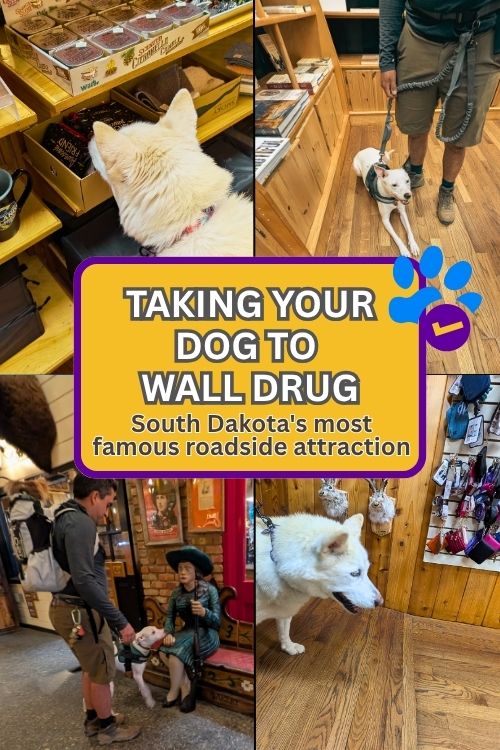 Dog friendly Wall Drug pin
