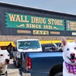 two dogs in front of Wall Drug Store Sign