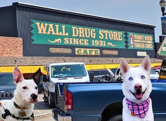 two dogs in front of Wall Drug Store Sign