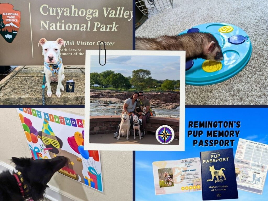 photo collage:  dog in front of National Park sign, ferret with feeder puzzle, dog licking a poster game, Remington's Pup Passport, and two people with 3 dogs in Falls Park in South Dakota