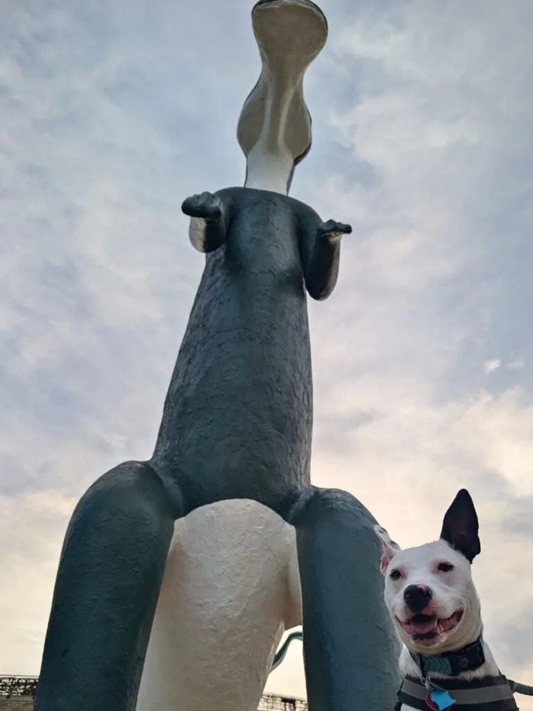 Dog in front of large dinosaur statue in Dinosaur Park in Rapid City