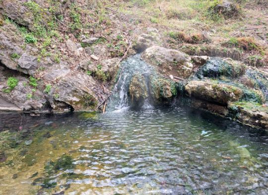 "2 dogs checking out small natural spring waterfall in Hot Springs NP" 