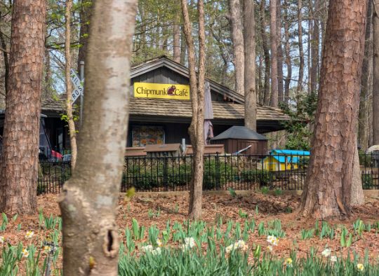 Chipmunk Cafe