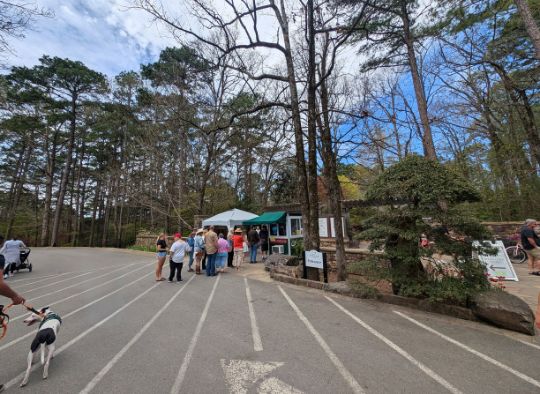 Line to get into Garvan Woodland Gardens