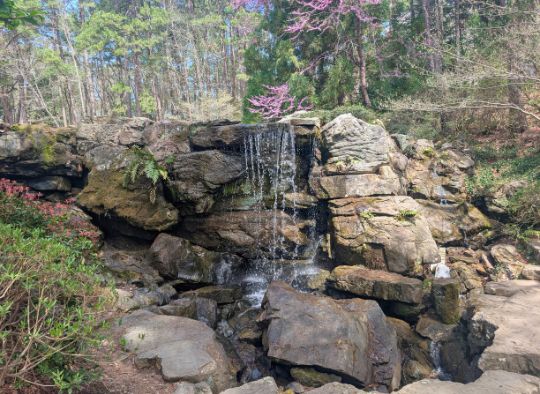 One of the waterfalls in Garvan Woodland Gardens