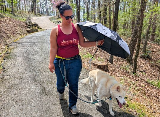 Woman walking and holding a sun umbrella over a husky in Woodland Gardens