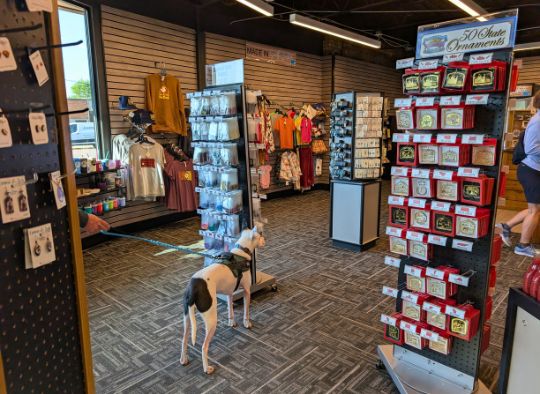 Dog in Corn Palace gift shop with clothes, ornaments, and jewelry displayed