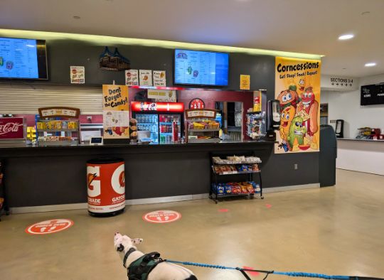 Dog looking at Corn Palace concession counter with chips and corn dogs, etc