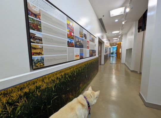 Dog looking down a hallway full of sign exhibits at the Corn Palace