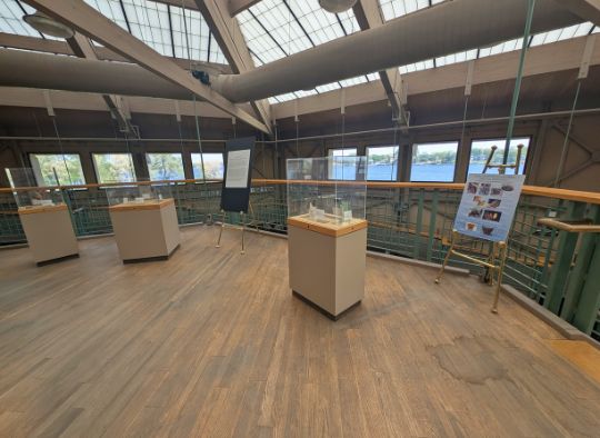 2nd floor in the Thomsen Center Archeodome