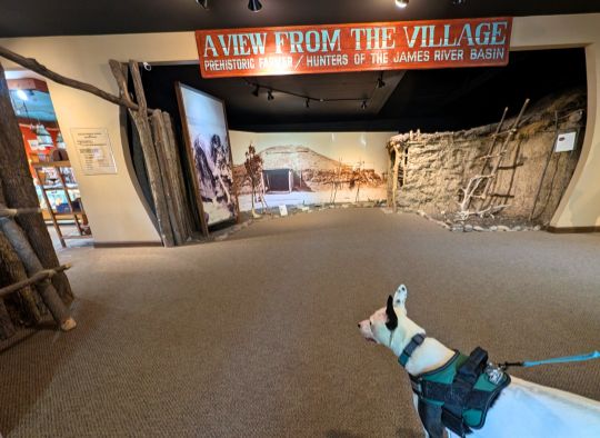 A View From The Village exhibit in side the Boehnen Memorial Museum 