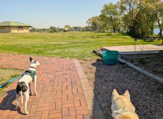 Brick pathway to the Thomsen Center Archeodome