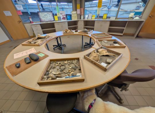 Educational room in Thomsen Center Archeodome