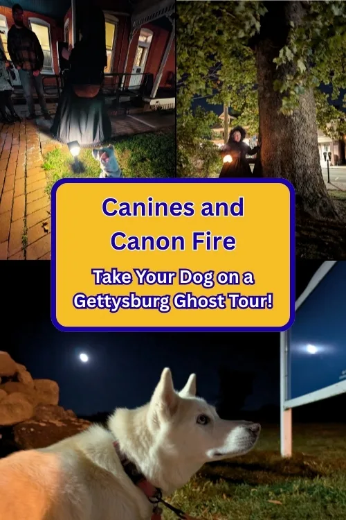 Canines and Canon Fire: Take Your Dog on a Gettysburg Ghost Tour!