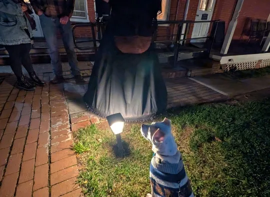 Puppy Evie sitting in front of tour guide on a Gettysburg Ghost Tour