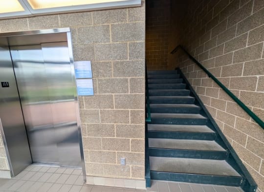Stairs and elevator up to the Falls Park Observation Tower