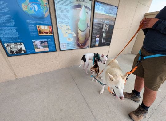 Dogs at shaded informational signs at Delta-09 